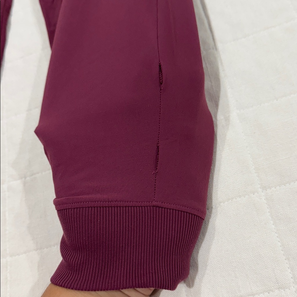 Alo Joggers - Picture 12 of 13
